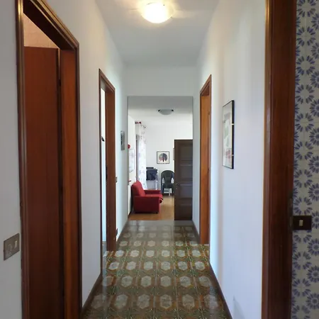 Ortensia Baveno