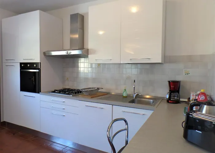 Ortensia * 巴韦诺